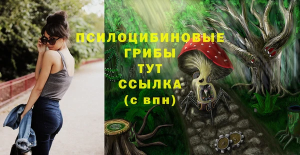 ПСИЛОЦИБИНОВЫЕ ГРИБЫ Переславль-Залесский