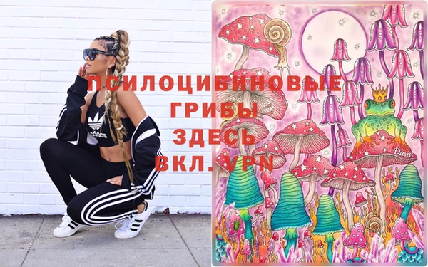 ПСИЛОЦИБИНОВЫЕ ГРИБЫ Переславль-Залесский