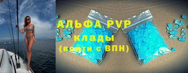 ПСИЛОЦИБИНОВЫЕ ГРИБЫ Переславль-Залесский